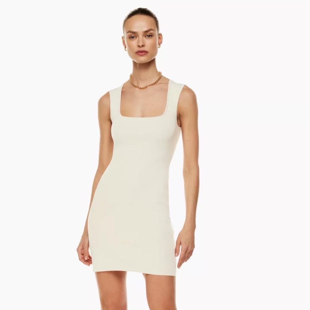 Aritzia Mendieta Sculpt Knit Dress